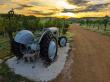 Alcantara Vineyards Emerges as Arizona’s Go-To Destination for Life’s Milestone Celebrations