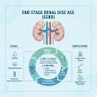 United States End Stage Renal Disease Market Insights: Driving Factors, Challenges, and Future Opportunities 2025-2032