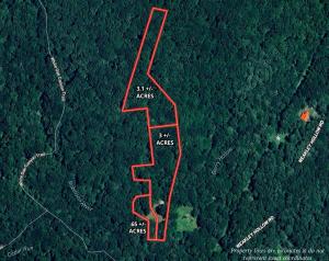 Three Madison County Virginia Properties Near Shenandoah National Park Set for Auction Announces Nicholls Auction Mktg 22 Pristine Recently Renovated Mountain Home on 3 +/- Acres, Wooded Building Lot on 3.1 +/- Acres & Barn/Potential Residence Near Shenandoah National Park Set For Auction Announces Nicholls Auction Marketing Group