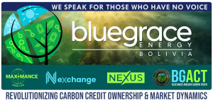 BGEB - Revolutionizing Carbon Credit Ownership