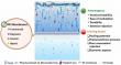 Study finds nanofiltration membranes most effective in tackling pharmaceutical pollution