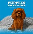 Pupples the Cavalier: Pupples Meets His New Family