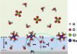 Cracking the code of hydrogen evolution on platinum