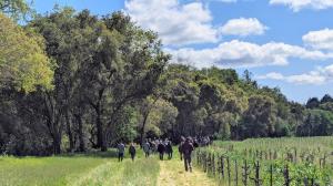 Regenerative vineyard tour