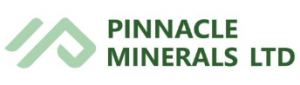 PIM logo