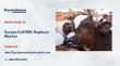 Europe Calf Milk Replacer Market Projected to Reach USD 1,657.2 Million by 2032 | Persistence Market Research