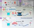 Phase matching sampling algorithm for sampling rate reduction in time division multiplexing optical fiber sensor system