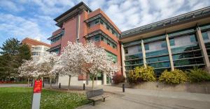 A ground view of a building with flowering trees in the foreground