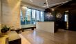 DOG. Hotel | Daycare Expands with Luxe New Lakeshore East Location
