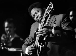 PHOTO CREDIT BBKING