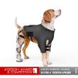Repawse by Leijing Zhou Wins Silver in A' Pet and Animal Product Awards