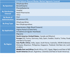Calcium Channel Blocker Market Size, Share & Forecast (2025–2032) Driven by Rising Cardiovascular Disease Cases 11 Calcium Channel Blocker Market Two
