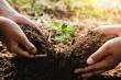 SGS Becomes Key EcoVadis Global Consulting Partner to Advance ESG Ratings and Performance