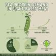 Pea Protein Market Set for Explosive 181% Growth by 2035 Driving the Next Frontier in Sustainable Meat Manufacturing