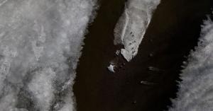 Cottonwood Island Nature Park Trail