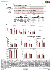 Exercise mitigated a cafeteria diet–induced increase in immobility in the forced swim test and exerted a modest anxiolytic effect irrespective of diet.