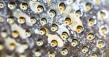 New Homes in Preston Hollow Find Water Usage Rights Relief with Softened Water