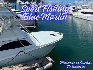 Sport Fishing Blue Marlin, one of Costa Rica’s leading charter companies, has officially unveiled a powerful addition to its fleet: eight state-of-the-art vessels now docked at the world-renowned Marina Los Sueños in Playa Herradura Sport Fishing Blue Marlin Los Sueños Marina