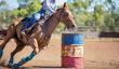 Tryon Equine Hospital Surpasses 200 VetStem Regenerative Medicine Cases