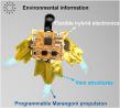 Smart aquabots bring camouflage and environmental sensing to life