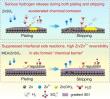 Chemical barrier approach extends zinc battery lifespan