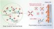 New electrolyte design extends lithium metal battery life beyond 9,000 hours