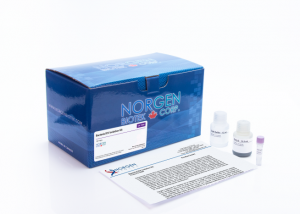 Bacterial EV Isolation Kit