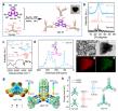 3D polymer design powers record-high zinc–organic battery performance