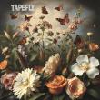 Tapefly's 'In the Garden': A Swedish Indie Oddity Blossoms in the Age of AI and Harmony