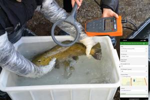 Berntsen International, Inc. and Biomark, part of Merck Animal Health (known as MSD Animal Health outside of the United States and Canada), are excited to announce the availability of InfraMarker—an easy-to-implement software that links RFID-embedded animal tracking directly to Esri’s ArcGIS, the world’s leading geospatial platform