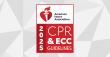 Updated CPR guidelines tackle choking response, opioid-related emergencies and a revised Chain of Survival