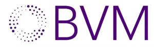 As AI-assisted search reshapes how buyers discover brands and research solutions, companies that rely solely on traditional search engine optimization face a growing visibility gap brazosvalleymarketing_New_Logo