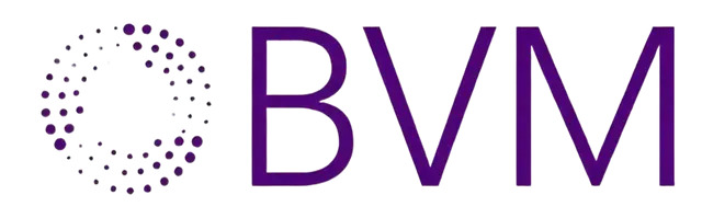 BVM Offers SEO Solutions to Luxury Custom Home Builders