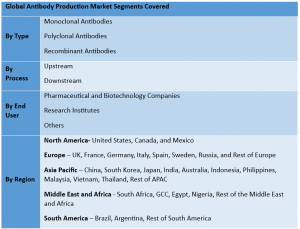 Antibody Production Market 2
