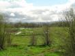 Journal of Environmental Sciences Study Reveals Insights into Passive Water Purification by Constructed Wetlands