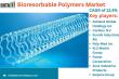 United States Bioresorbable Polymers Market is expected to reach USD 3.3 billion by 2031 | DataM Intelligence