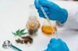 Peer-Reviewed Studies Highlight Cannabinoids’ Role in Safer Pain Management