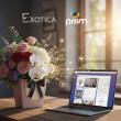 Exotica Leading Florist in UAE Awards Prism Digital its 360 Digital Marketing Contract
