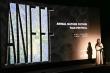 ANFFF 2025 Honors Dr. Jane Goodall and Bridges London & Shanghai Through “Life Resonance | Ecological Future.