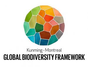 24020162 logo of the kunming montreal gl