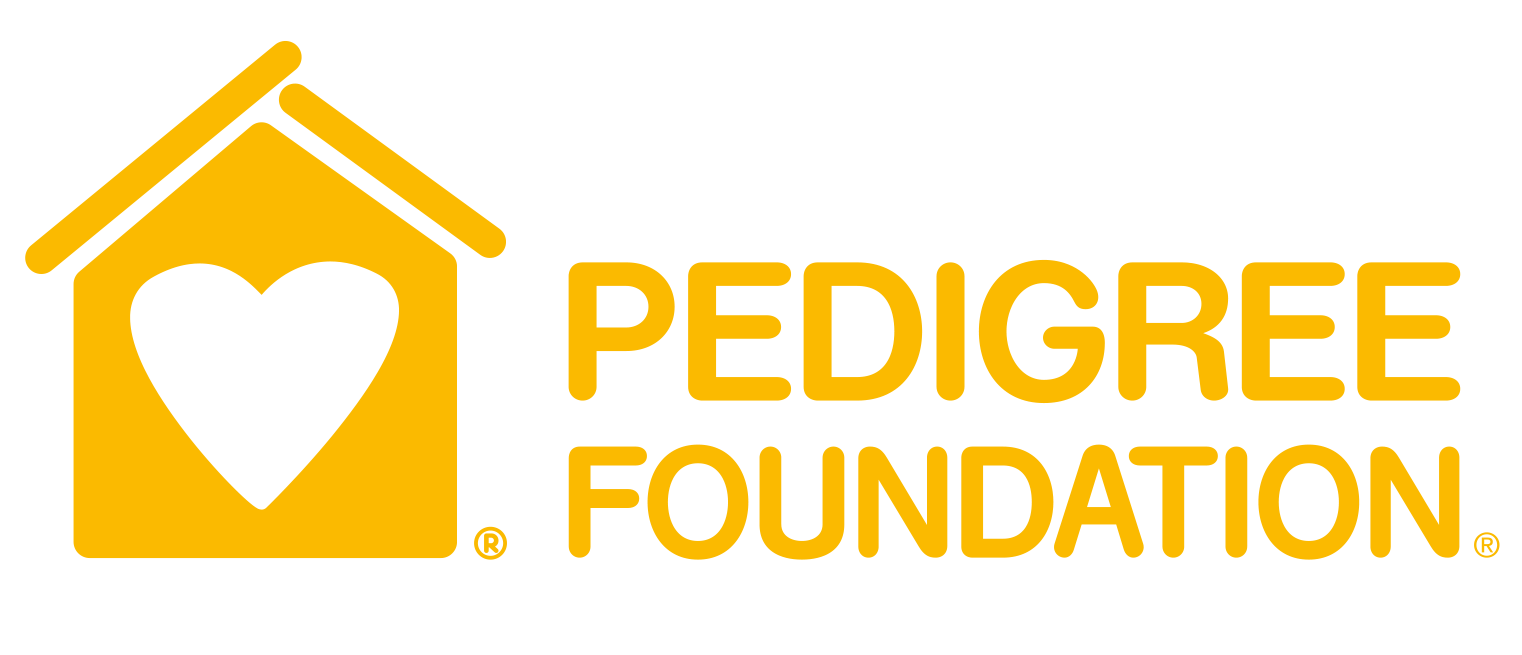 PEDIGREE Foundation ‘2026 Rescue Dog of the Year’ Celebrates the Joy of Senior Dogs