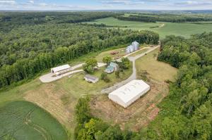 1,600± acres offered in 15 tracts (3± to 1,600± acres). 5± miles of South Anna River frontage. Frontage on Ambler Rd. and Shannon Hill Rd. Productive agricultural and cropland tracts. Grain storage and drying facilities, 50' x 80' workshop and 70' x 140' equipment bldg