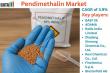 United States Pendimethalin Market is expected to reach USD 572.4 million by 2030 | DataM Intelligence