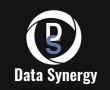 Data Synergy Launches Consular Management System to Modernize Consulate Operations Across the U.S.