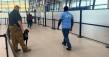 The Academy of Pet Careers’ Dog Training School Collaborates with TSA K9 Unit to Train Bomb Detection Dogs
