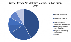 Urban Air Mobility Industry, by end user