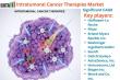 United States Intratumoral Cancer Therapies Market Set for Robust Growth with Breakthrough Innovations by 2031
