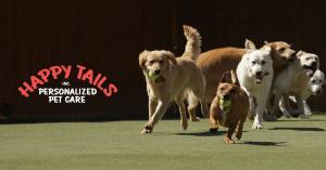 st. louis dog hotel starts client referral program