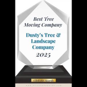 Click360 Award for Dusty Tree