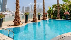 ant-group-swim-pool